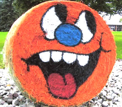 Pumpkins on Parade