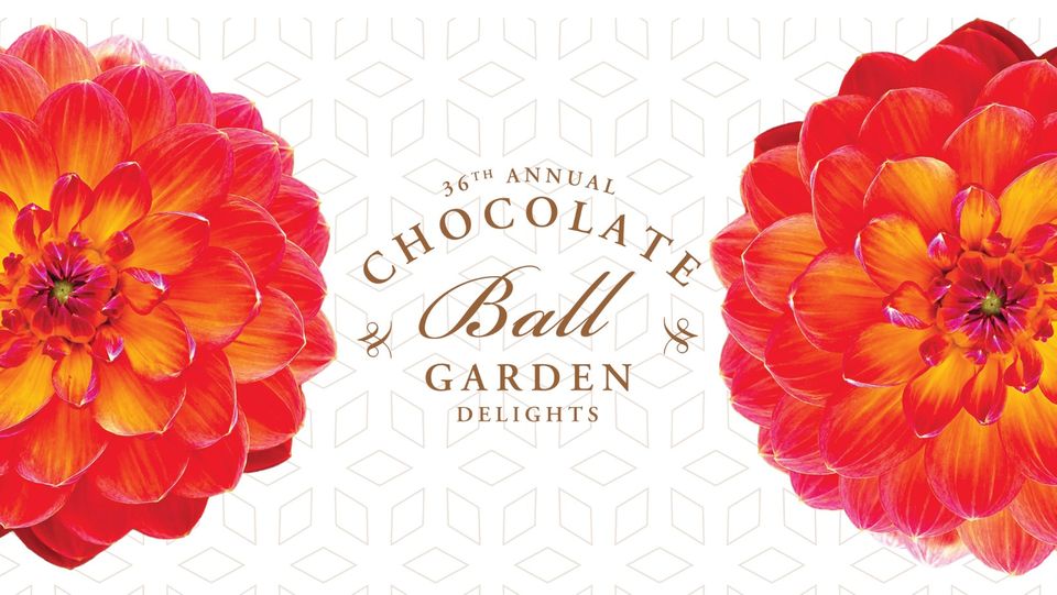 36th Annual Chocolate Ball